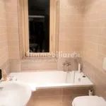 Rent 3 bedroom apartment of 100 m² in Turin