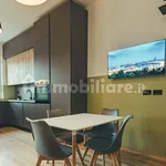 Rent 3 bedroom apartment of 110 m² in Turin