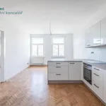 Rent 3 bedroom apartment in Praha 3