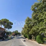 Rent 4 bedroom apartment of 110 m² in Fano