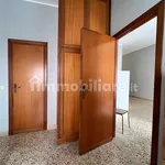 Rent 2 bedroom apartment of 60 m² in Palermo