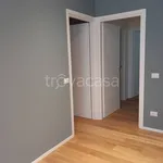 Rent 3 bedroom apartment of 110 m² in Brescia