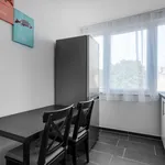 Rent 3 bedroom apartment of 80 m² in Düsseldorf