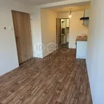 Rent 1 bedroom apartment of 28 m² in Frýdlant