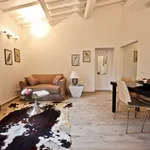 Rent 1 bedroom apartment of 50 m² in Florence