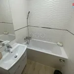 Rent 1 bedroom apartment in Ostrava