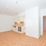 Rent 1 bedroom apartment of 33 m² in Liberec