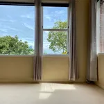 Rent 3 bedroom apartment in Auckland