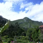 Rent 1 bedroom house in Asturias']