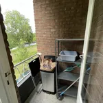 Huur 6 slaapkamer appartement van 80 m² in Utrecht