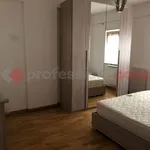 Rent 2 bedroom apartment of 70 m² in Cassino