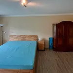 Rent 1 bedroom apartment in Illnau-Effretikon