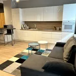 Rent 1 bedroom apartment of 42 m² in Łódź