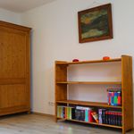 Rent 1 bedroom apartment of 30 m² in Schleiden