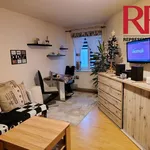 Rent 1 bedroom apartment of 31 m² in Plzeň