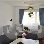 Rent 2 bedroom apartment of 40 m² in Bílina