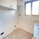 Rent 2 bedroom apartment of 60 m² in Turin