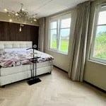 Rent 6 bedroom house of 214 m² in De Uithof