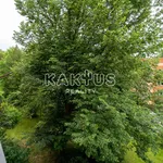 Rent 2 bedroom apartment of 55 m² in Ostrava