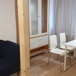 Pronajměte si 2 ložnic/e byt o rozloze 46 m² v Prague