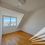 Rent 4 bedroom apartment of 104 m² in Linz