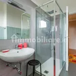 Rent 2 bedroom apartment of 75 m² in Prato