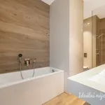 Pronajměte si 2 ložnic/e byt o rozloze 54 m² v Prague