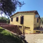 Affittasi Villa, Marino Via Capo D'Acqua Villino con giardino - Annunci Marino (Roma) - Rif.581584