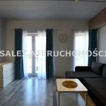 Rent 1 bedroom apartment of 25 m² in Żory