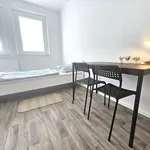 Rent 3 bedroom apartment of 57 m² in Chemnitz