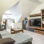 Rent 1 bedroom apartment of 48 m² in Hrušovany nad Jevišovkou