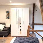 Rent 1 bedroom apartment of 44 m² in Ulm