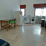 Rent 1 bedroom apartment of 25 m² in Potenza