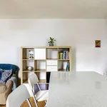 Rent 1 bedroom apartment in london