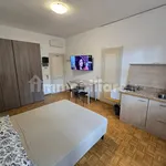 Rent 1 bedroom apartment of 30 m² in Florence