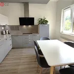 Rent 4 bedroom apartment of 73 m² in Nížkovice