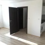 Rent 1 bedroom apartment in Ostrava