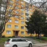 Rent 1 bedroom apartment in Pilsen