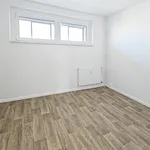 Miete 3 Schlafzimmer wohnung von 63 m² in Halle (Saale)