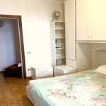 Rent 4 bedroom apartment in Rome