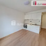 Rent 2 bedroom apartment of 33 m² in Prague