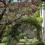 Rent 2 bedroom apartment of 32 m² in Lucca