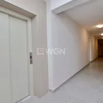 Rent 2 bedroom apartment of 36 m² in Gorzów Wielkopolski