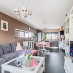 Rent 2 bedroom apartment in Denderleeuw