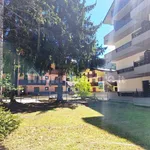 1-bedroom flat via Baradello 11, San Pietro, Corteno Golgi