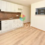 Rent 3 bedroom house in Beroun