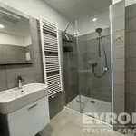 Rent 1 bedroom apartment of 30 m² in Pilsen