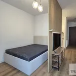 Rent 2 bedroom apartment of 40 m² in Katowice