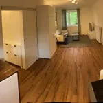 Rent 3 bedroom apartment of 65 m² in München