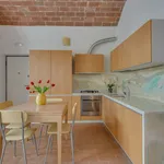 Rent 1 bedroom apartment of 40 m² in Florence